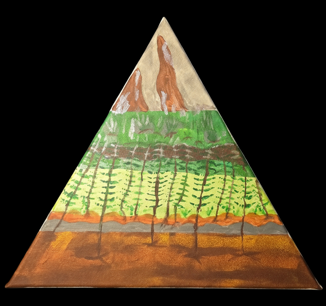 Forest Floor to Peak