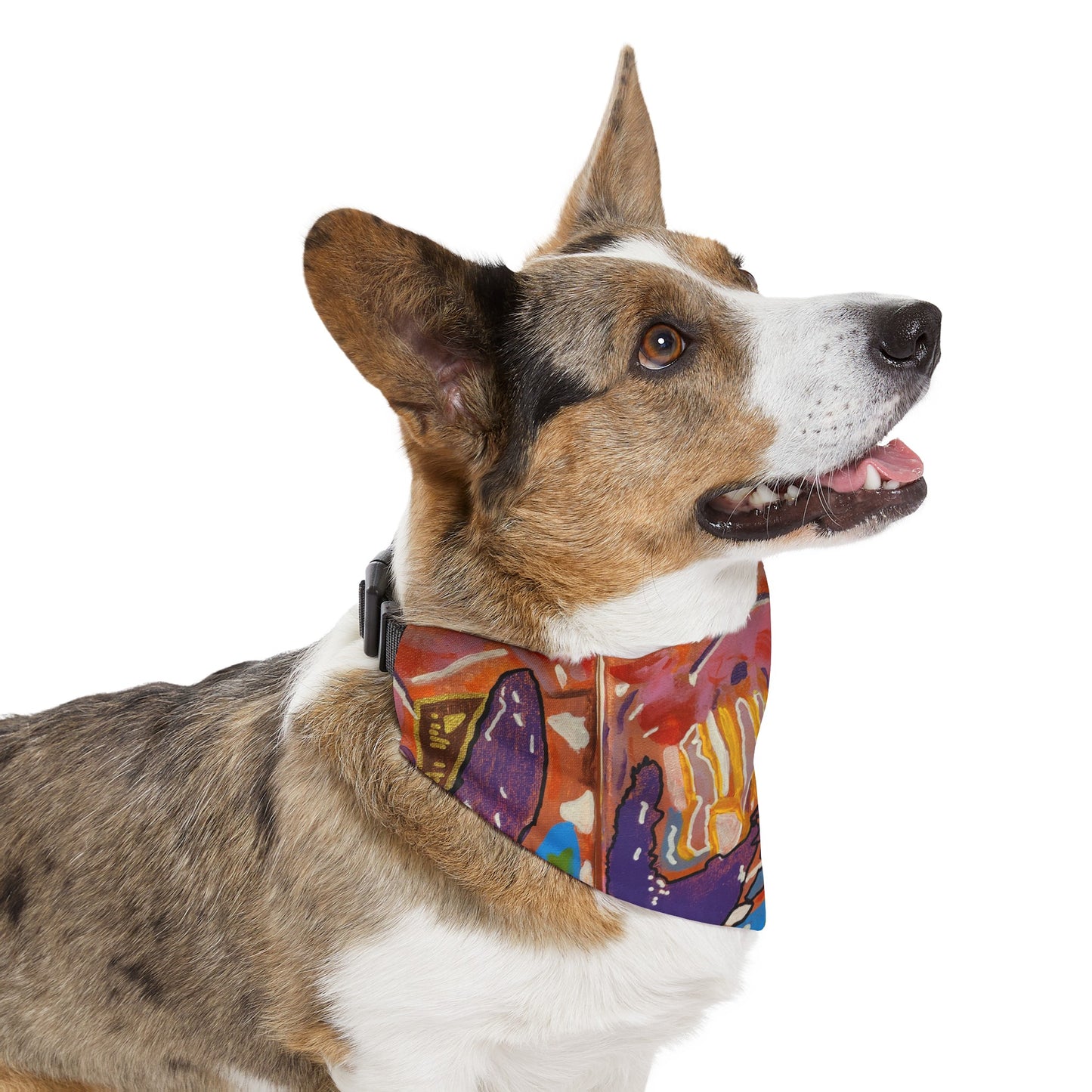 Pet Bandana Collar