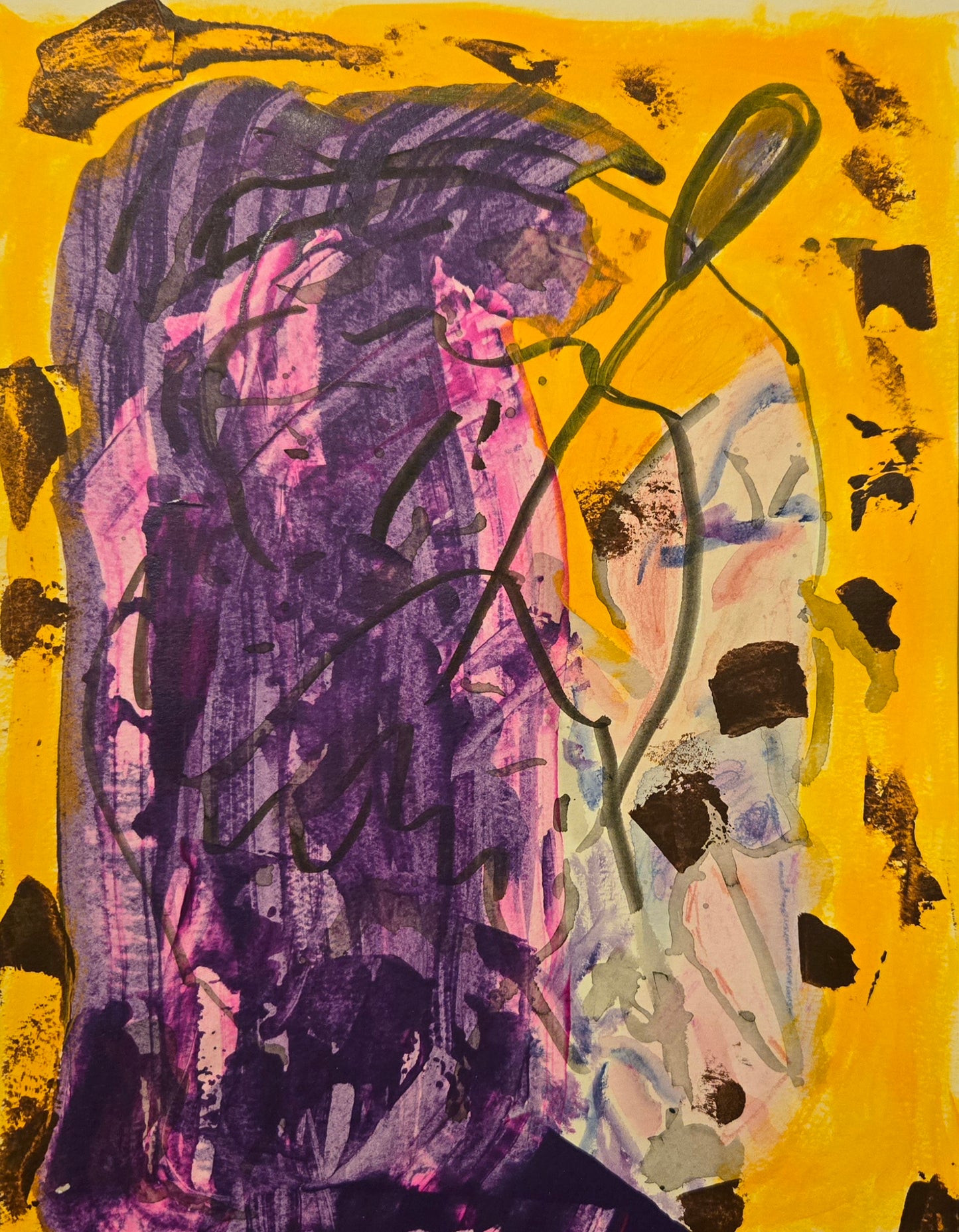 Evolution 9x12