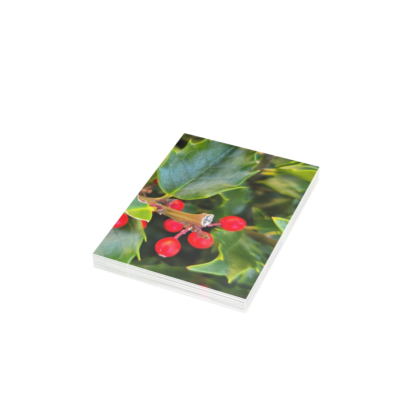Holly photograph-Holiday Greeting Card — Blank Inside (Single or Bulk Packs)