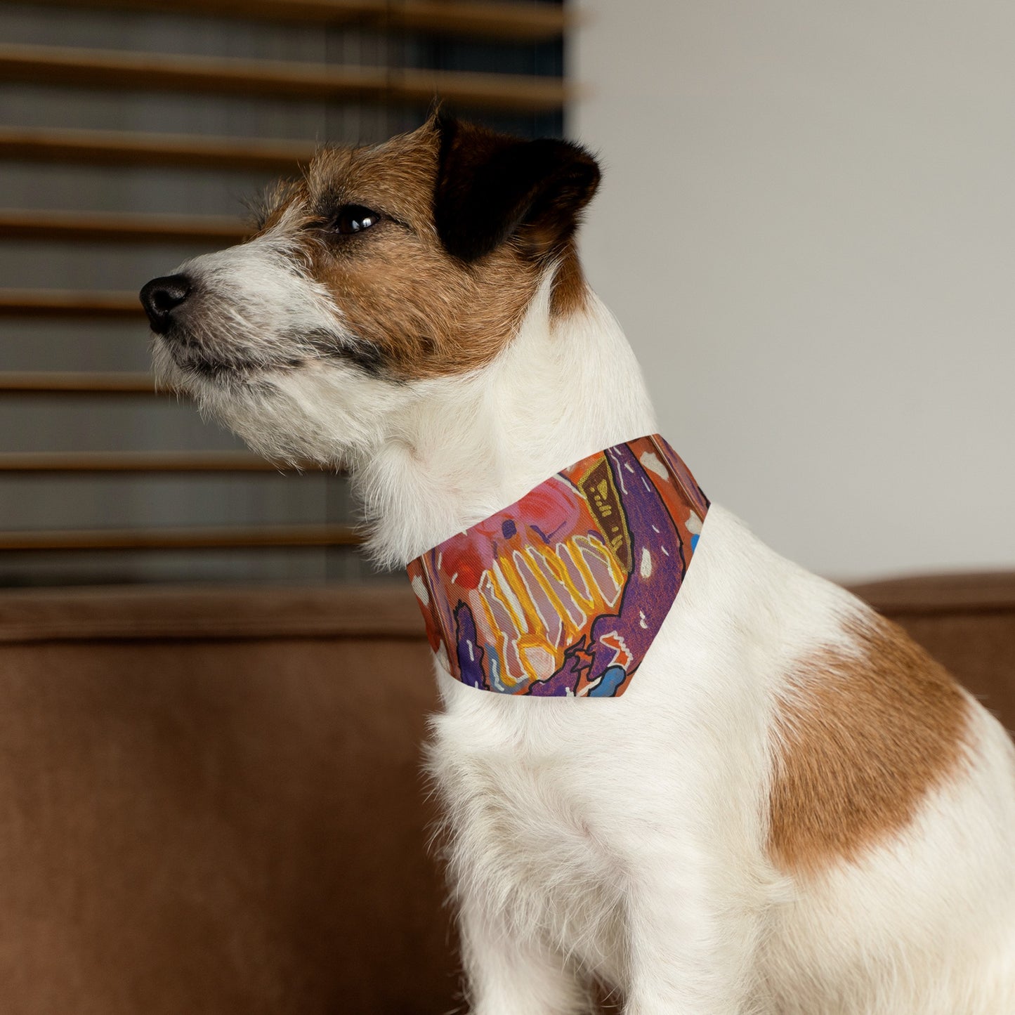 Pet Bandana Collar